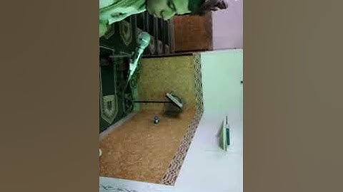 ما تيسر من سورة الرحمن. عمر عبد الرحمن