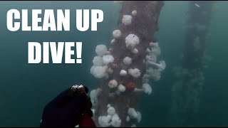 Freediving for Free Fishing Gear in Washington!