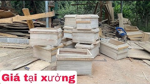 Thùng Nuôi Ong Nội/ Hàng tiêu chuẩn