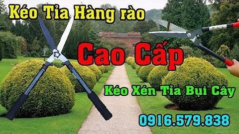 Kéo Xén Bụi Cây, Hàng Rào - Kéo Xén Cắt Tỉa Cây Cảnh Tạo Hình Khối Làm Vườn Giá Rẻ
