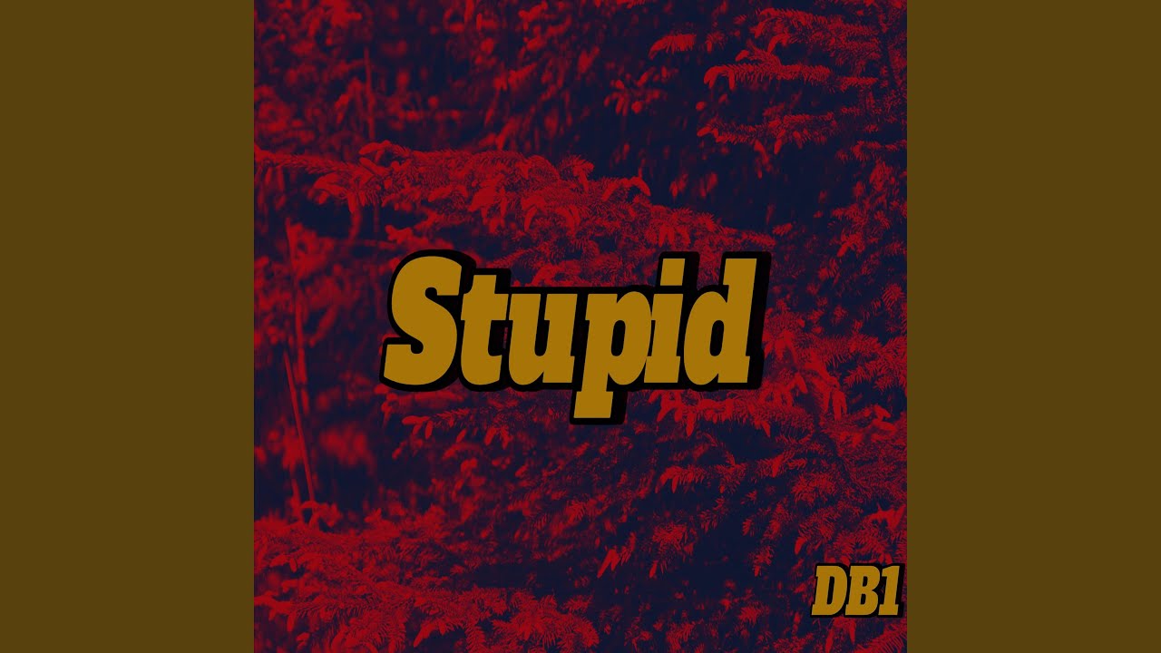 Watch Stupid on YouTube Watch Stupid on YouTube
