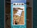 無料でこれは凄いｗ　#shorts #おすすめ #おもしろ#面白い #海外#tiktokvideo #車 #レース #無料