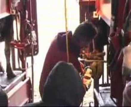 Comfort Cows America Dairyland Hoof Care Youtube