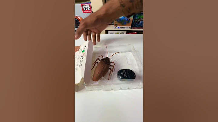 Remote Control Cockroach Unboxing