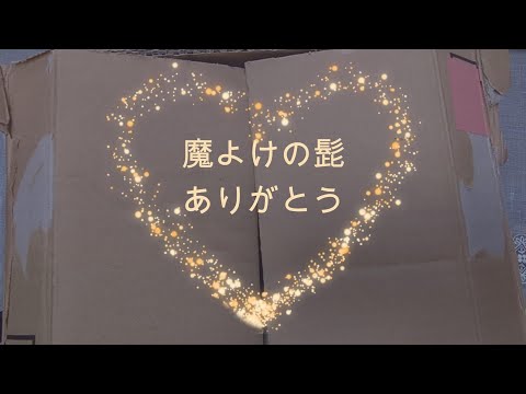 うくちゃんからの魔除けのヒゲ来たよ〜💕🫰🏻💕