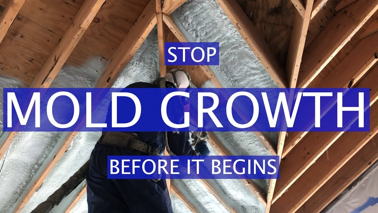 Vaulted Ceiling With Spray Foam Insulation Youtube
