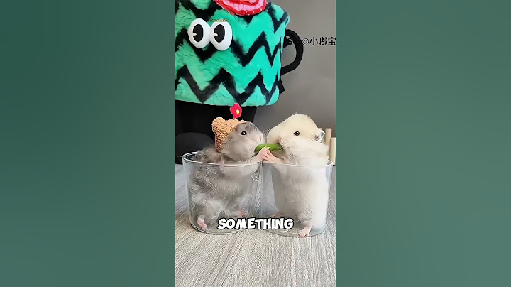 If You Own a Hamster, You Need to Hear This #animals #facts #hamster
