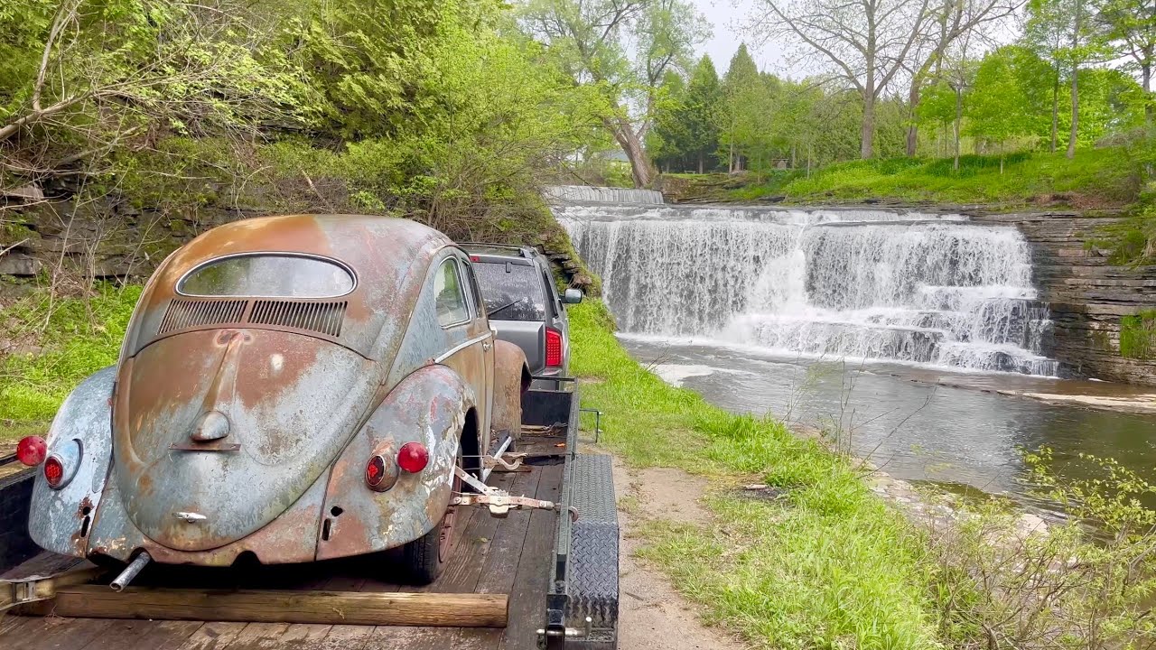 56 Oval Vw Beetle - Parked 47 years - Found & Rescued