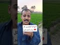 المغتربين ترجعوا لأهلكم بالسلامة