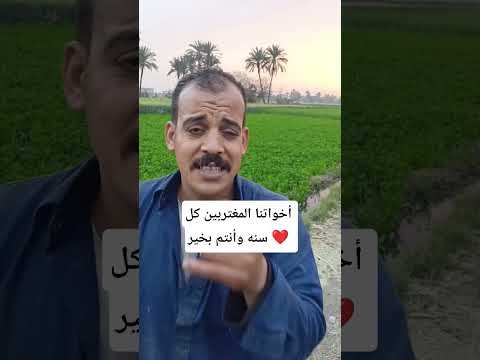 المغتربين ترجعوا لأهلكم بالسلامة