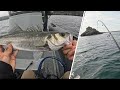 PÊCHE MULTI-ESPÈCES DANS LE FINISTÈRE