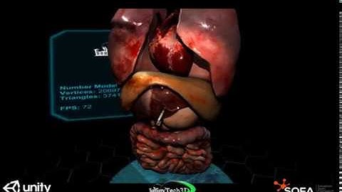 Sofa-Unity - 3D human internal organs multi-threaded simulation