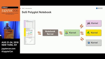 SoS: A polyglot notebook and workflow system...- Bo Peng (The University of Texas)