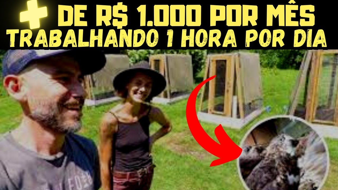 ESSA PEQUENA CRIAÇÃO OCUPA POUCO ESPAÇO E DA MUITO LUCRO