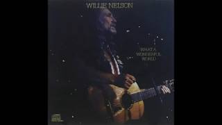 Watch Willie Nelson To Each His Own video