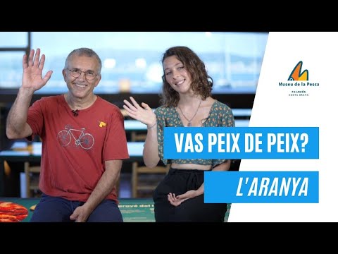 Vídeo: Com Aconsegueix L’aliment L’aranya Creuada