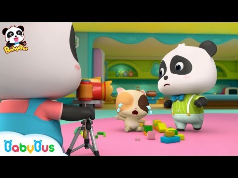 Video: Lesser panda: penerangan dan foto