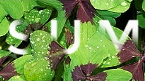 How to mask text on image with Snapseed