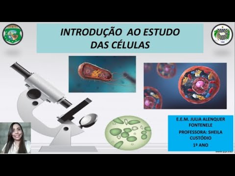 AULA DE BIOLOGIA SOBRE INTRODUÇÃO AO ESTUDO DA CÉLULA - 1º ANO ...