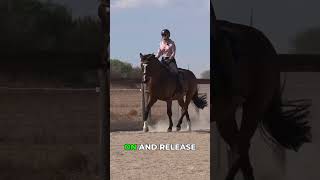 Canter Aids for Horses That Dont Get It Yet  #horsetraining #equestrian #basichorsetraining