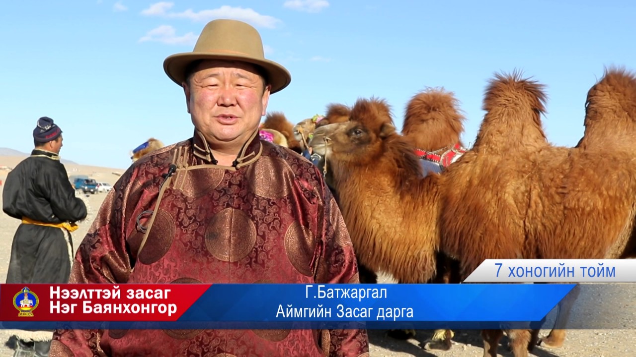 ТЭМЭЭ ТЭНГЭРИЙН АМЬТАН - 2017 БАЯНХОНГОР АЙМАГ