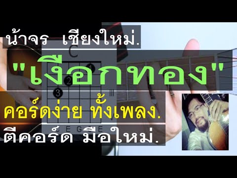 สอนกีต้าร์ เงือกทอง | น้าจร เชียงใหม่ - คอร์ดง่าย ตีคอร์ด มือใหม่ (อ่าวอันดา) เสือสองเล COVER