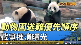 戰爭推演 動物園逃難優先順序曝 |【民生八方事】| 2022031604 @gtvnews27