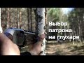 Охота на глухаря. Выбор патрона.