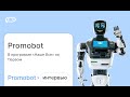 Промобот в программе &quot;Наше всё&quot; на Первом канале | Promobot