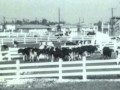 Farming in Torrance, Early History & Demise - Torrance Centennial