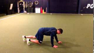Evolution Sports Performance| Easton, MA| Bear Crawl  Forward and Backward