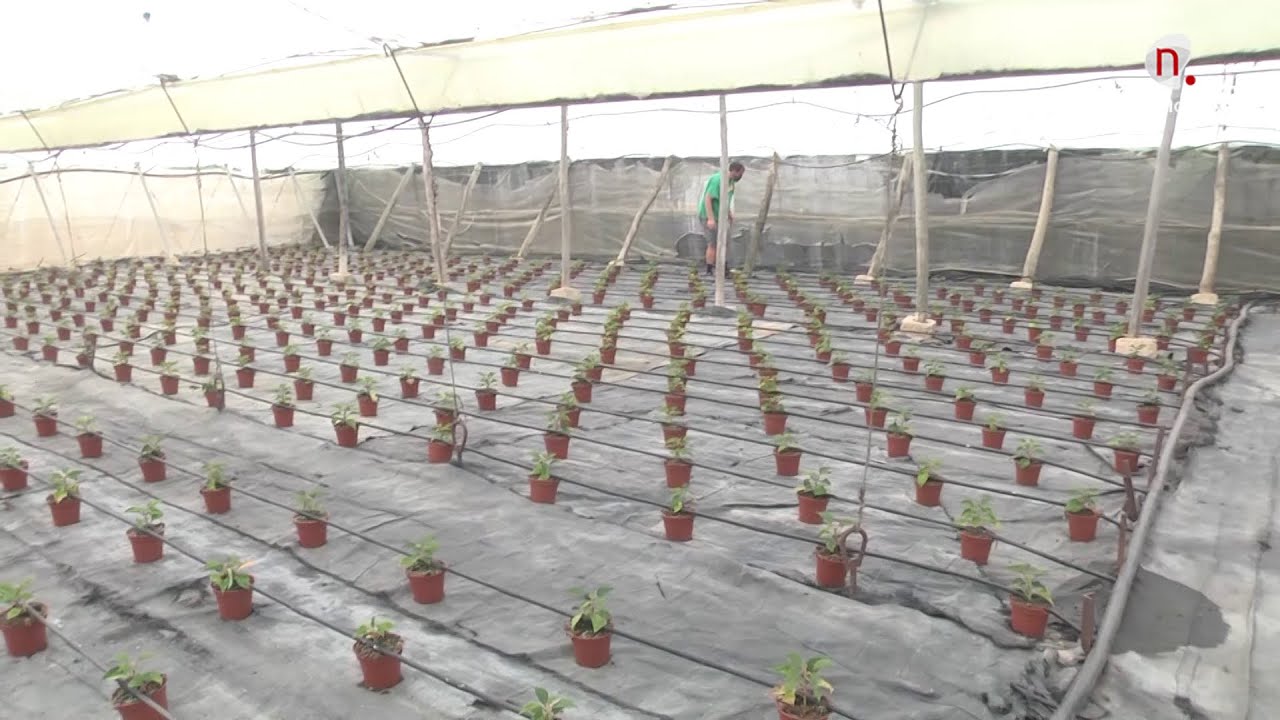 Contigo: Reportaje Centro Ocupacional de Afanas