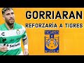 #tigres: FERNANDO GORRIARAN REFORZARÍA A TIGRES. #santosfc #ligamx #futbol