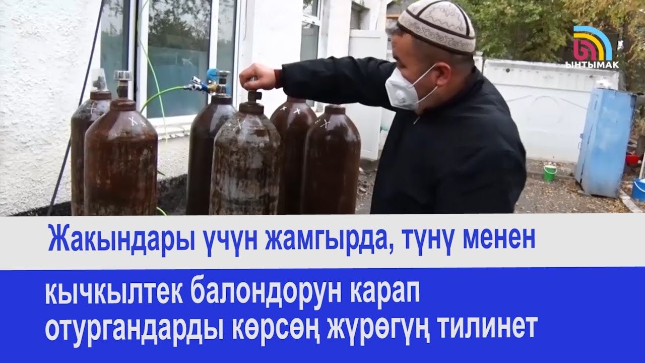 Кычкылтек балондору жетишпей бейтаптар каза болууда, эмне кылыш керек ...