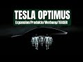 TESLA Shareholder Meeting - Produkte - Optimus - Werbung - Expansion