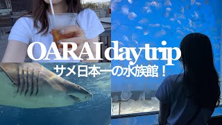 〖vlog〗社会人の休日