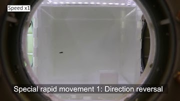 Agile 3D-Navigation of a Helical Magnetic Swimmer