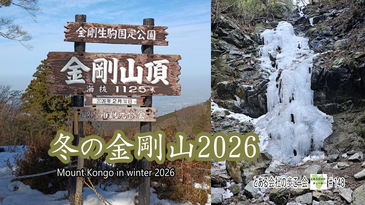 冬の金剛山2026【とある会社の歩こー会】＃148　2026.2　Mount Kongo in Winter 2026, Japan