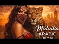Habibi (حبيبي) – Arabic Festival Dance Remix 2026 | جميلة Belly Dance Club Spirit