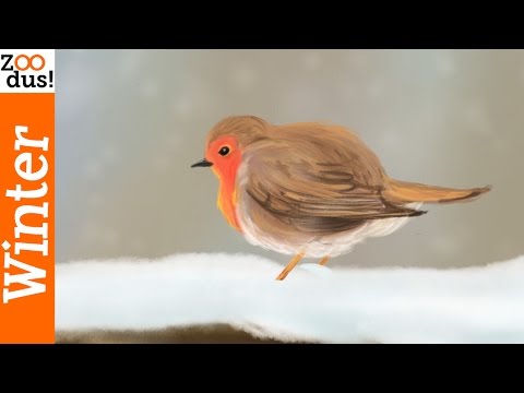 Video: Waar Te Vliegen In De Winter