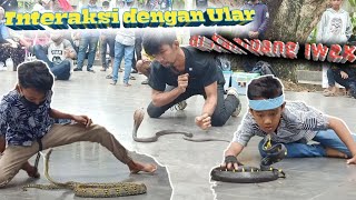 Interaksi Dengan Ular Cobra Di Kambang Iwak - Sriwijaya Snake Show