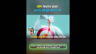 মেদ কিভাবে জমে? ৯০% মানুষ জানে না? #FatAccumulation #HealthAwareness #WeightGainFacts
