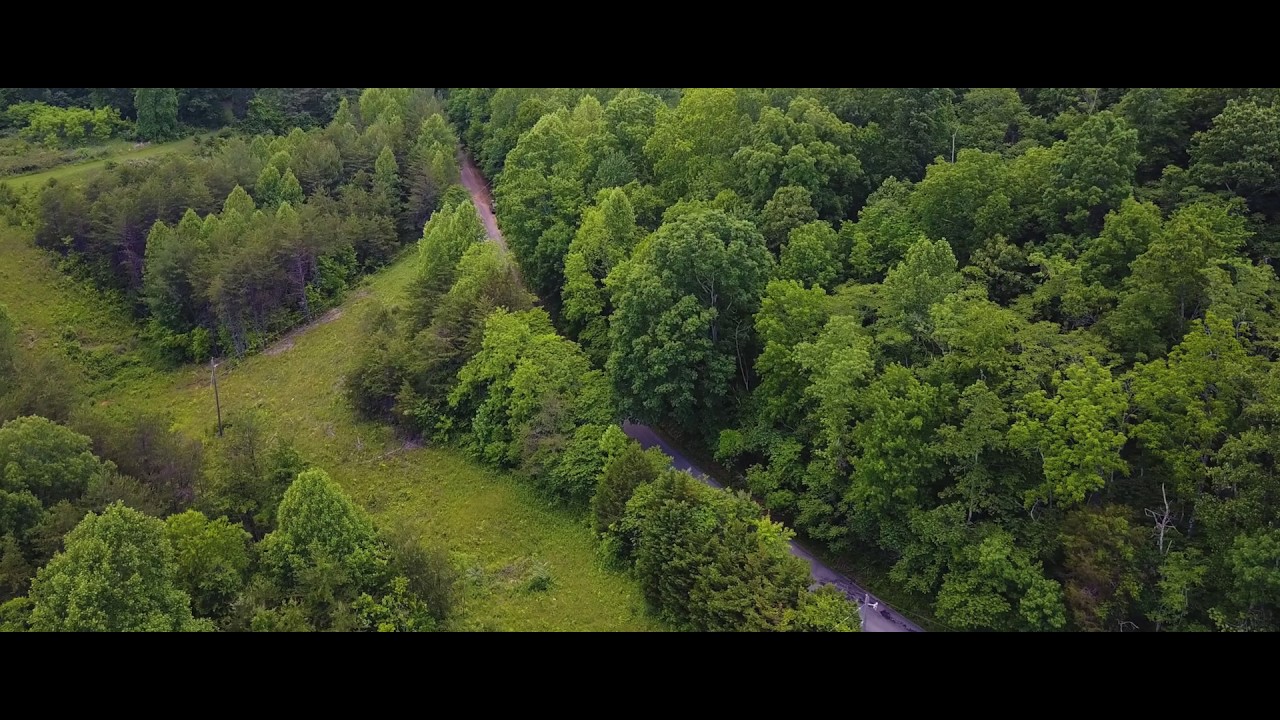 Land for Sale at Auction, Ferrum VA YouTube