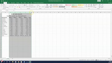 Excel 2019 In Practice   Ch 1 Independent Project 1 4