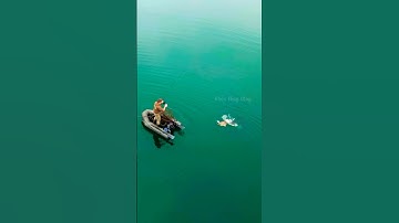 Cá Lớn - Chép Khủng suýt bị thủy Quái táp 😱 #khacthuyvlogg