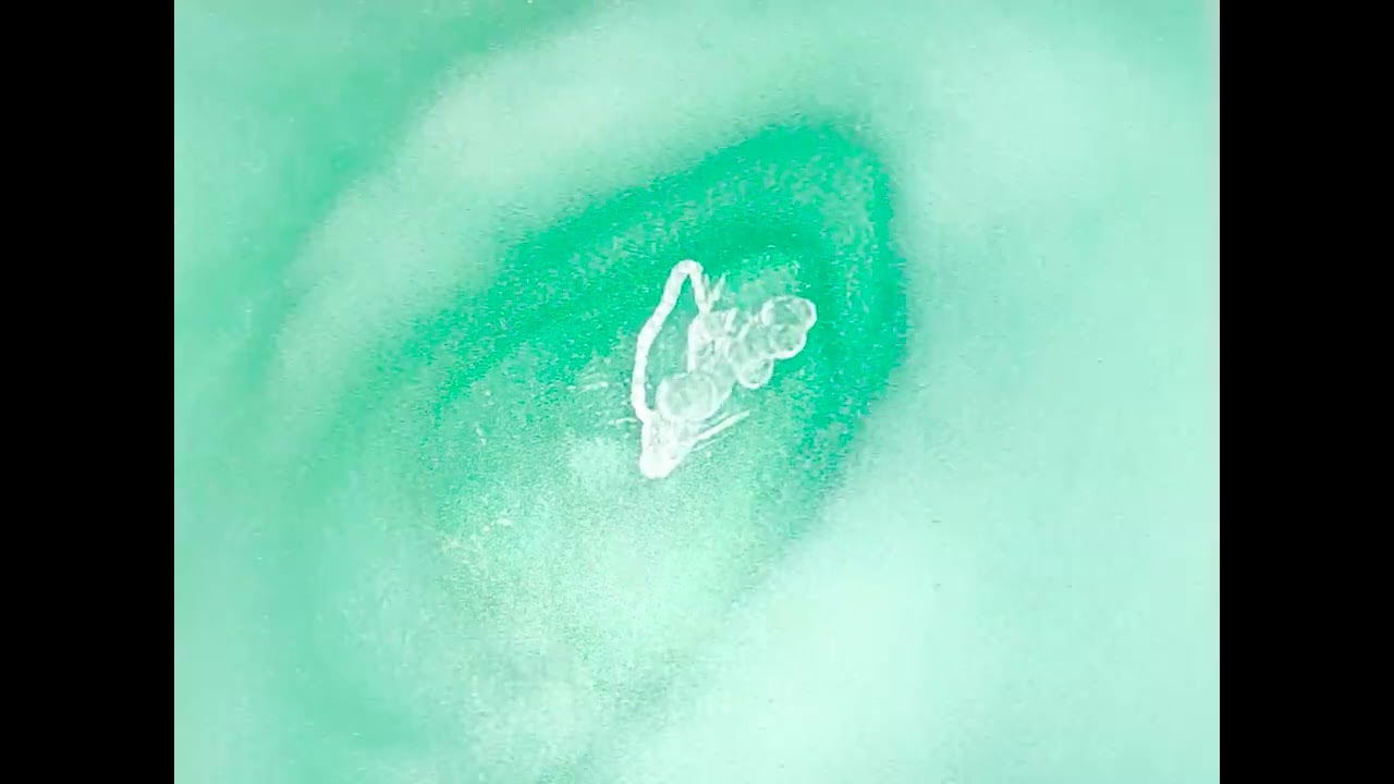 Vypers - Nighttime // Video by Oscillitarium //