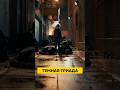 ТЕМНАЯ ТРИАДА: психопатия, нарциссизм, макеавелизм — как влияют на нас? #Психология