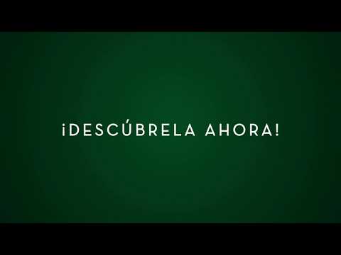 ¡Estrenamos nueva web!