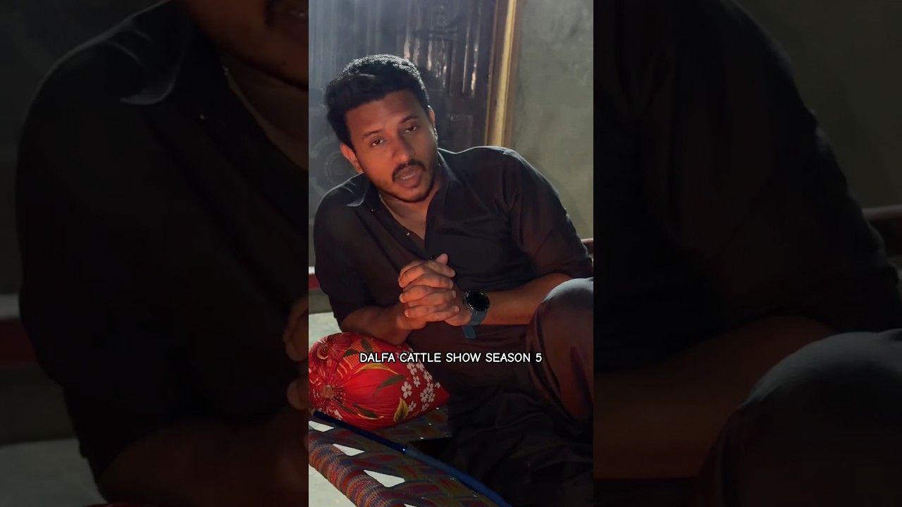 Dalfa Cattle Show Season 5 Dates?