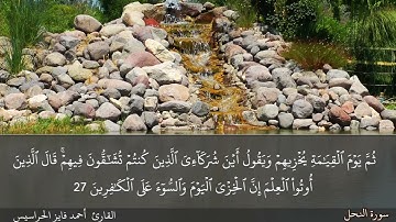 سورة النحل كاملة مكتوبة و مسموعة بصوت القارئ أحمد فايز الحراسيس